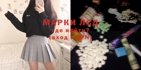 индика Бердск