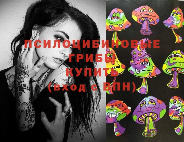 шишки Медногорск