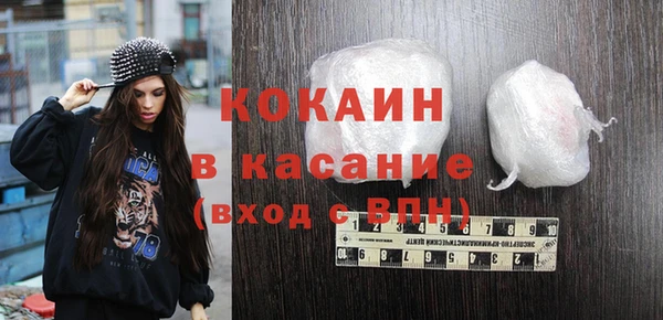 шишки Медногорск