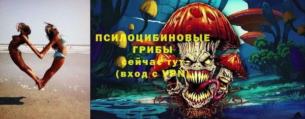 шишки Медногорск
