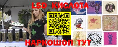 прущие грибы Владимир