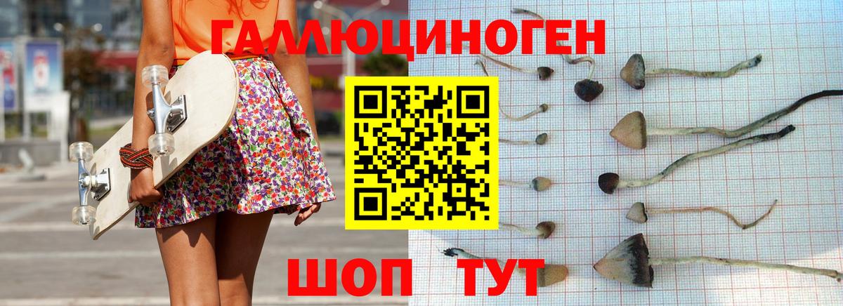 Галлюциногенные грибы Cubensis  Псилоцибиновые грибы ЛСД  Вход с VPN  Новокузнецк 