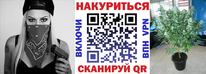 купить наркоту  Новокузнецк  Шишки марихуана Ganja 